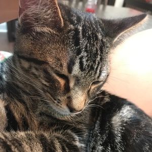 Meet your Posher, Melody